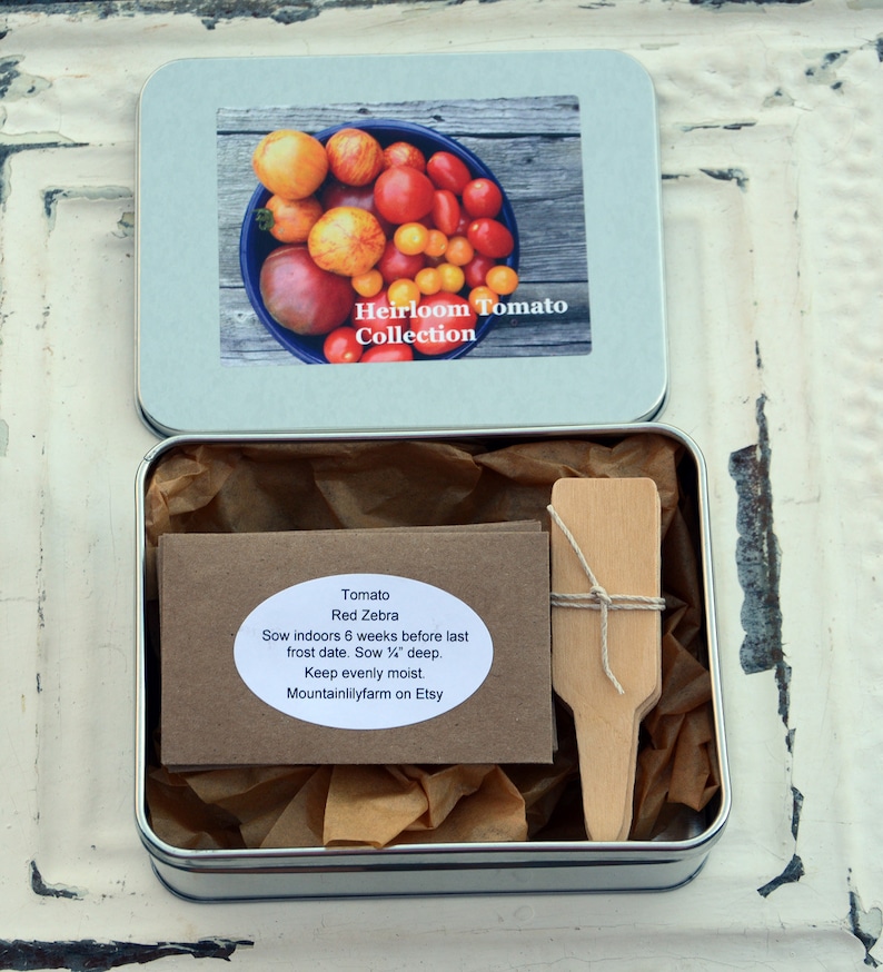 Heirloom Tomato Seeds in Gift Box Tomato Garden Seed Kit Tomato Seeds for Container Gardening and Patio Gardens