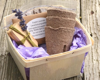 Lavender Plant Kit, English Lavender Seeds, Great Housewarming Gift