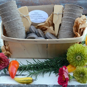 Garden Gift Basket, Heirloom Vegetable Seeds with Garden Supplies, Great Housewarming Gift No Gift Box