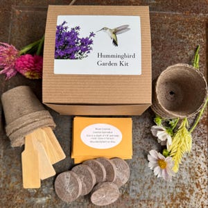Hummingbird Garden Seed Kit – Gift for Gardeners, Moms, Nature Lovers – Attracts Hummingbirds