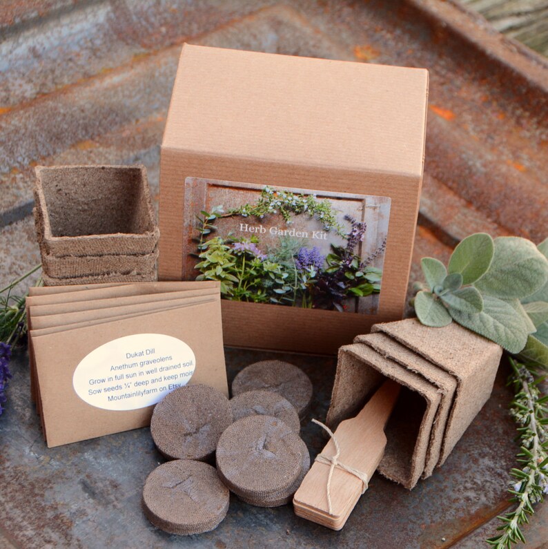 Herb Garden Kit Easy to Grow Herb Seed Indoor Herb Garden Etsy