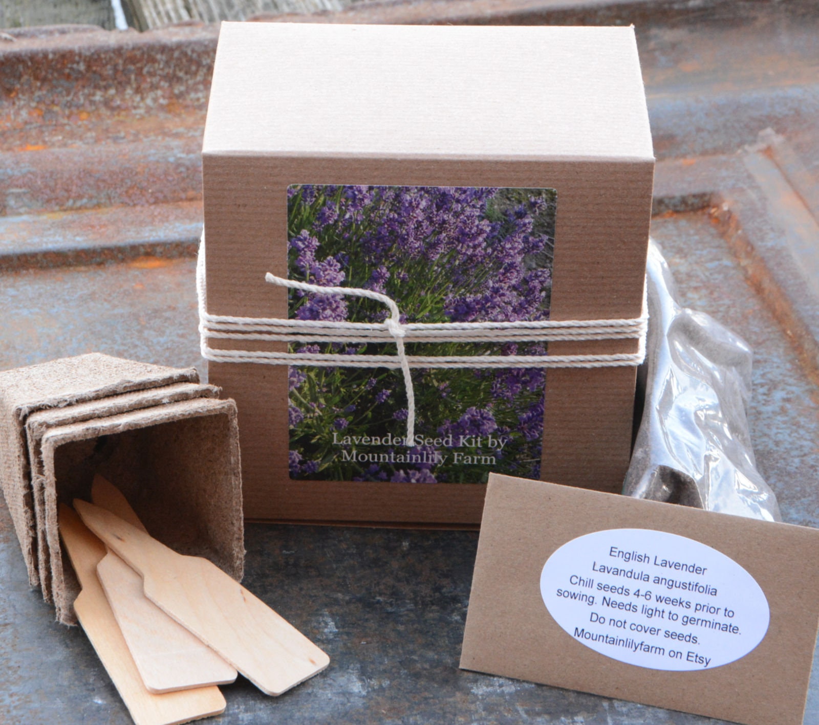 Lavender Seed Kit English Lavender Seeds in Gift Box Gift Etsy