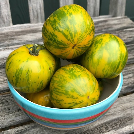 100 Semi Di Pomodoro Zebra Verde – Varietà Antica Da Orto, Semi Per Giardino E Huerto