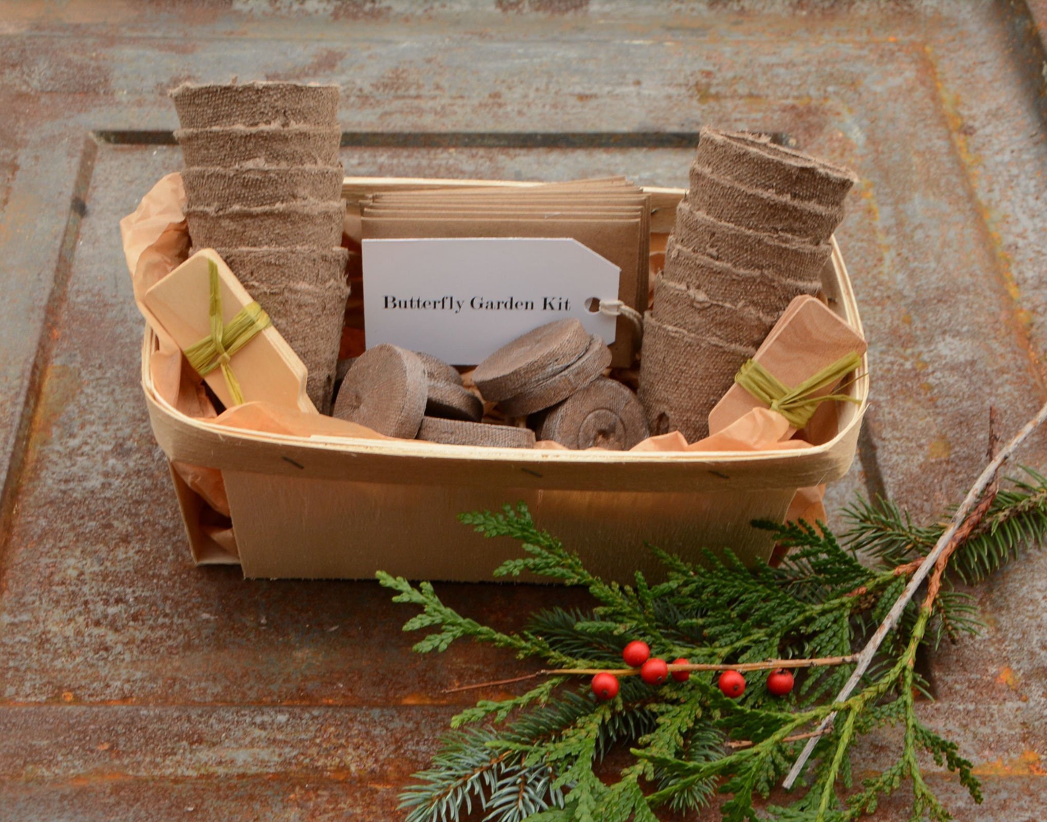 Deluxe Butterfly Garden Seed Kit Heirloom Seeds for Butterfly Etsy