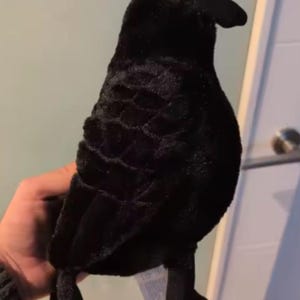 May include: A plush crow toy featuring soft black fabric with a textured pattern on the wings, a rounded body, a small black beak, and dark eyes. The stuffed bird has two black legs and a small white tag hanging from the underside of its body.