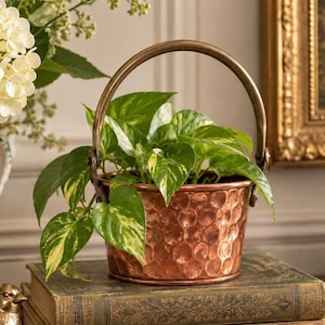 May include: A hammered copper-colored metal bucket planter with a rounded handle, containing a green and yellow variegated pothos plant. The planter features a textured, dimpled surface and a metallic finish, holding the leafy houseplant.