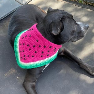 Op de afbeelding: Een driehoekige gehaakte bandana voor huisdieren met een felroze middenstuk met zwarte gestikte zaaddetails, omrand door een dunne witte streep en een bredere groene buitenrand, ontworpen om rond de nek van een dier te worden gedragen.