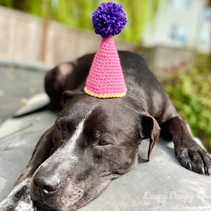 May include: A black dog wearing a pink crocheted party hat with a purple pom-pom on top. The hat has a yellow trim. The dog is lying down on a gray surface, with the text "Loopy Doopy Crochet" visible.