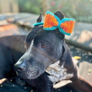 May include: A black dog with a white stripe on its snout wearing a crocheted bow accessory on its head. The bow features a bright orange center section with a vibrant teal border and a matching teal band that secures the accessory around the head.