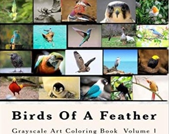 Birds of a Feather Grayscale Art Coloring Book