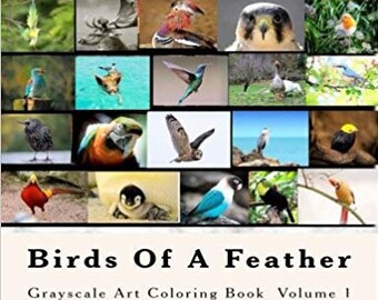 Birds of a Feather Grayscale Art Coloring Book