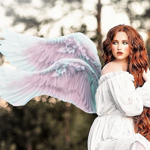 Angel Wings & Fairy Things 2