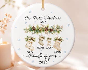 Custom Keepsake, First Christmas Ornament 2026, Family of Three Four, Pet Paw Stocking