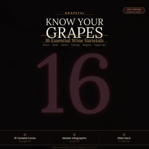 May include: A dark background with the text "KNOW YOUR GRAPES" and "16 Essential Wine Varietals". A large number "16" is in the center. The image also includes the text "16 Varietal Cards", "Master Infographic", and "Slide Deck".