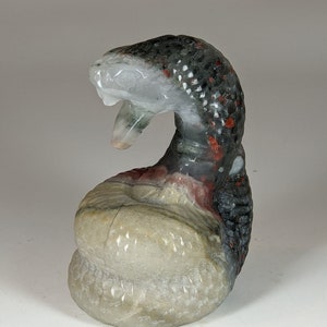 Carved Bloodstone Fluorite Stone Snake Crystal Base Natural Courage Motivation WHOG22W104