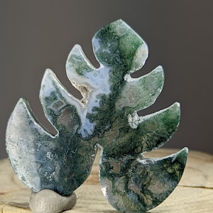 Stone Carved Moss Agate Fern Plant Leave Carving Pocket Abundance Garden Health WHO22q111