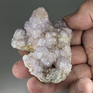 Spirit Quartz Cactus Porcupine Quartz Crystal Cluster Nurturing Growth  WHOA6