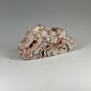 May include: A small, irregularly shaped, white, brown, and gray agate stone with intricate patterns and swirls.