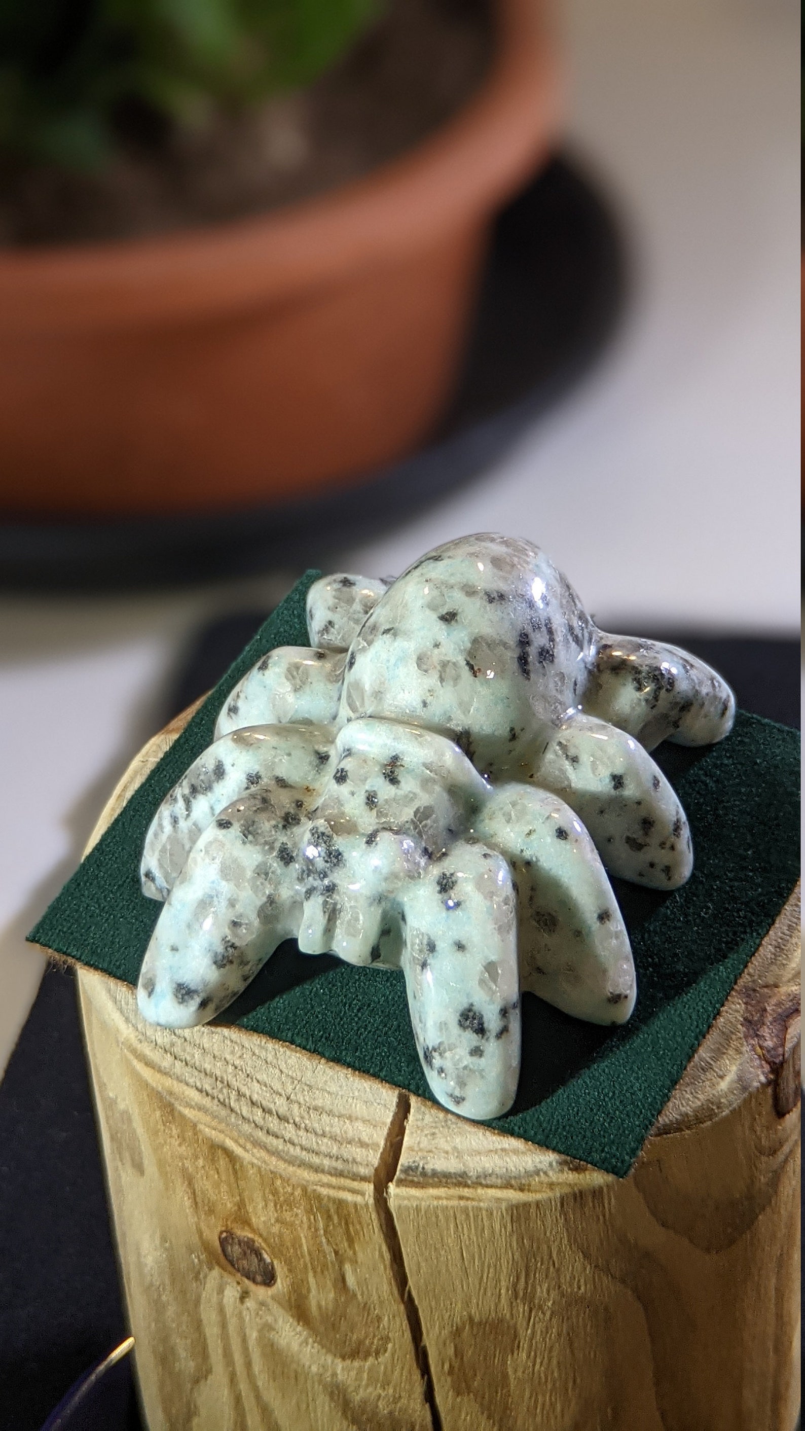 Large Sesame Jasper Stone Carved Spider Carving Crystal Etsy