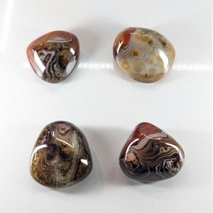 Sardonyx Palm Stone Banded Agate Root Chakra Brown White Swirls Design Strength Protection Patterning WHO22b12
