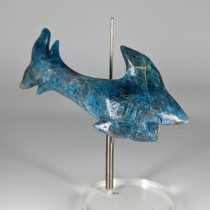 Blue Apatite Stone Carved Shark Carving Ocean Crystal Balance and Peace  PD6