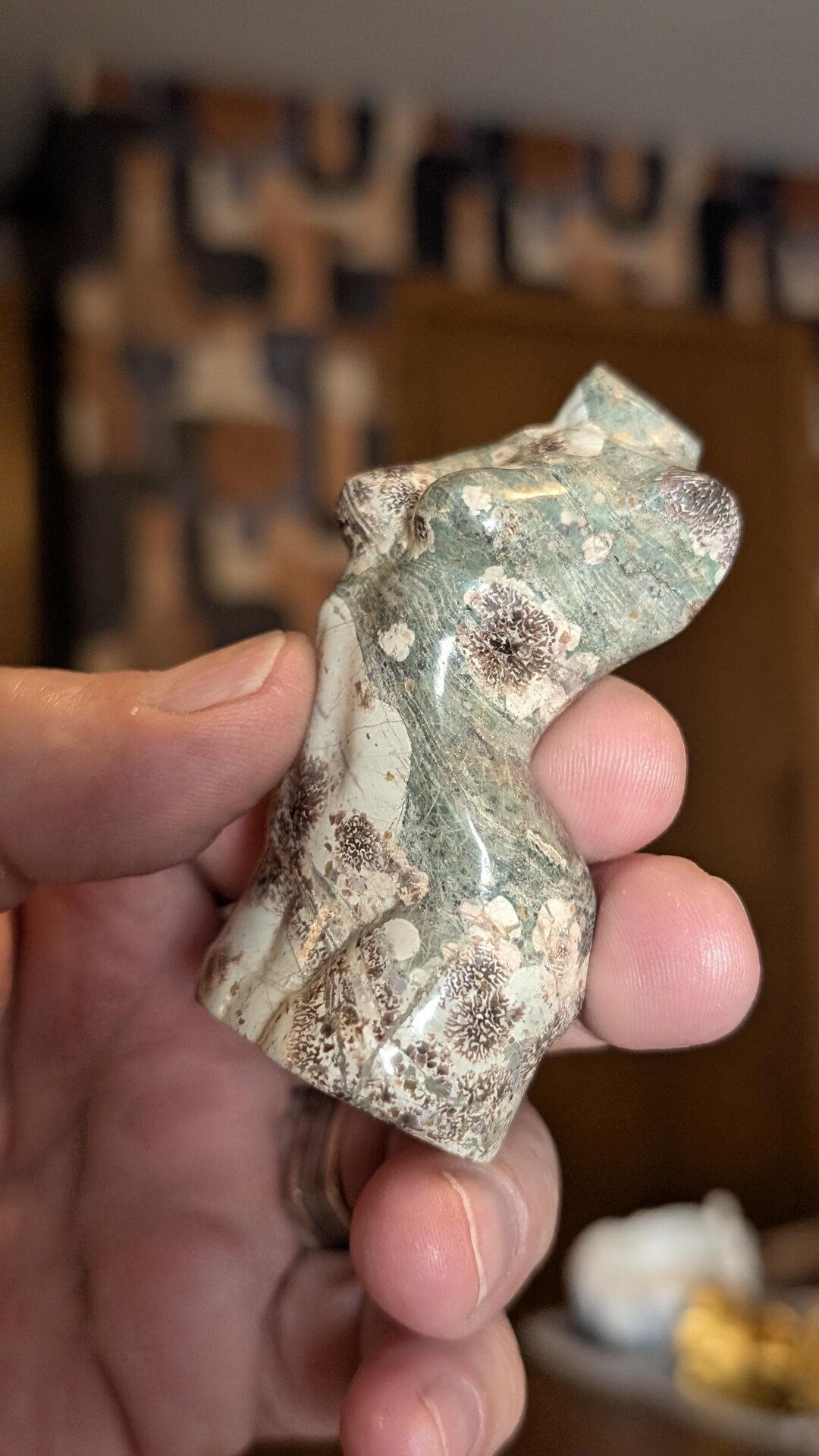 Rhyolite in Jasper Green Flower Stone Crystal Womans Bodice Body ...
