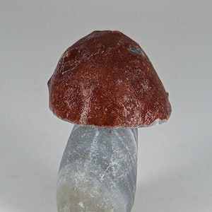 Banded Agate Root Chakra Gray Blue Mushroom Swirls Design Strength Protection Patterning Garden WHOS22m120