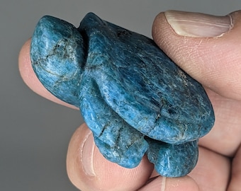 May include: A small, hand-carved turquoise turtle figurine. The turtle is a popular symbol of good luck and longevity.