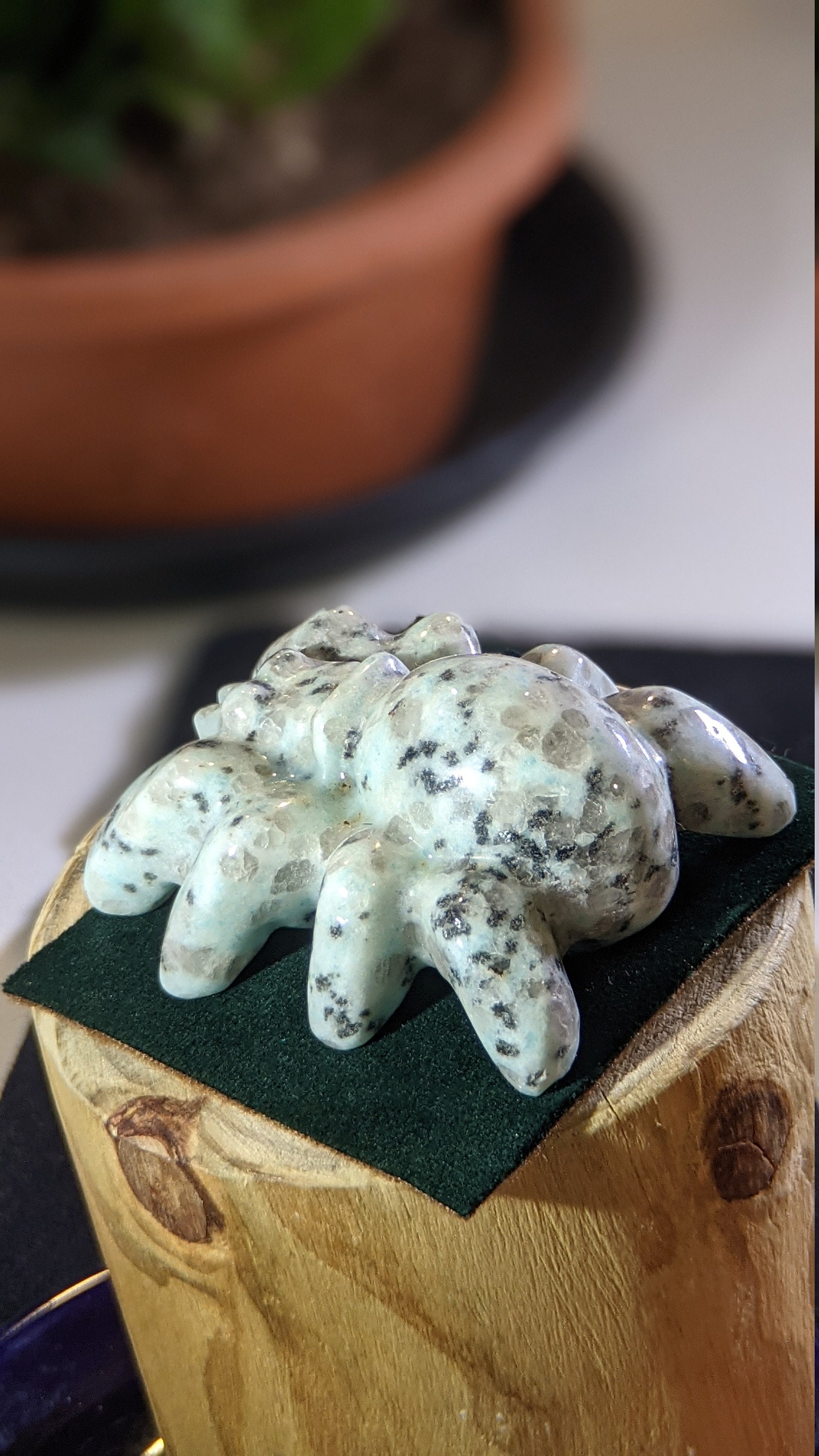Large Sesame Jasper Stone Carved Spider Carving Crystal Etsy