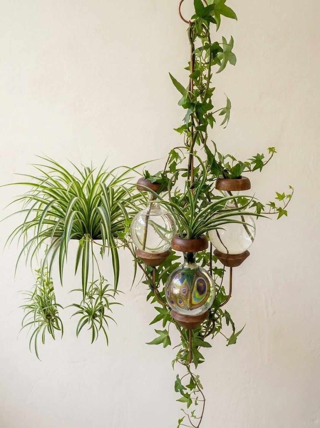 Copper Hanging Plant Propagation Station – Triple Bulb Glass Rooter ...