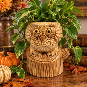 May include: A ceramic planter shaped like an owl perched on a tree stump, featuring a textured brown finish, large yellow eyes, and a pointed beak. The planter holds a green and yellow variegated pothos plant with trailing leaves.