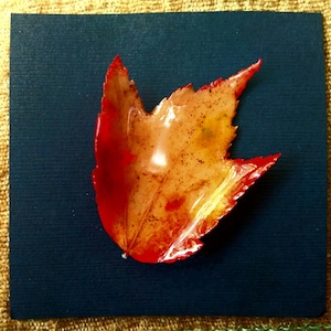 Genuine Maine Maple Leaf Pin