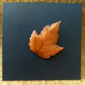 Genuine Maine Maple Leaf Pin