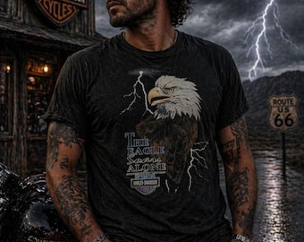 Vintage 1995 Harley Davidson Holoubek Eagle Soars T-Shirt L