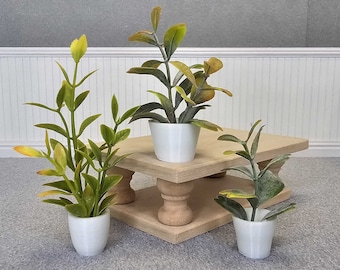 May include: Three potted plants on a wooden tiered stand. The plants have green and yellow leaves and are in white pots. The stand is made of light wood and has a natural finish.