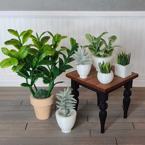 May include: A set of five potted plants, including a large green plant with a brown pot, a small white plant with a white pot, and three smaller green plants with white pots. The plants are arranged on a small wooden table with black legs.