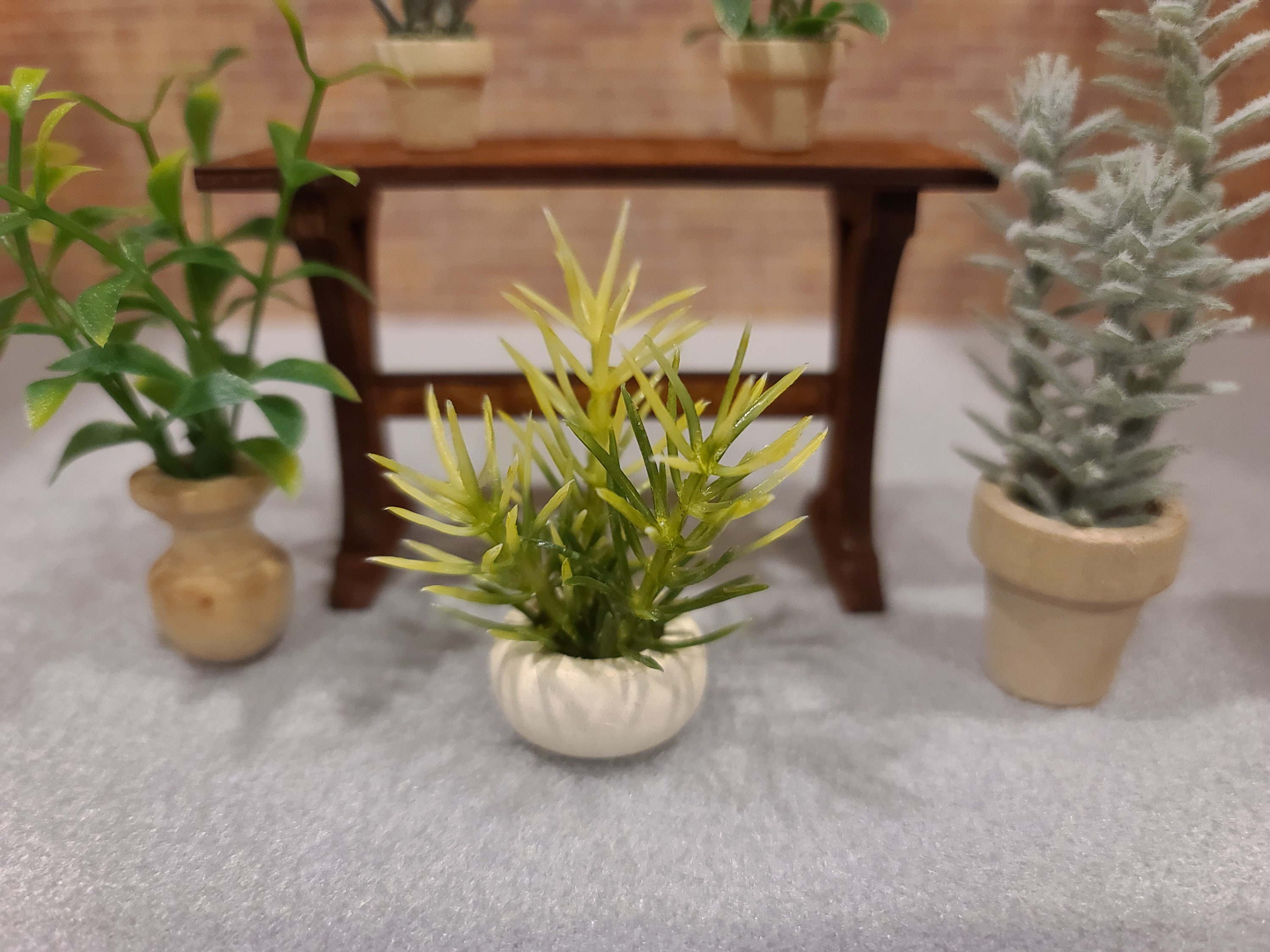 Miniature Dollhouse 112 Scale Plants Mini House Plants Etsy UK