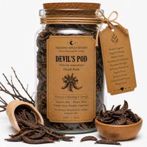 Könnte beinhalten: Ein klares Glasgefäß gefüllt mit dunkelbraunen getrockneten Teufelsschoten, verschlossen mit einem Korkdeckel. Das Etikett zeigt HEALING SOULS STUDIO, DEVIL'S POD, 2 OZ | 56 G. Ein beigefarbenes Etikett mit Bindfaden listet Eigenschaften auf.