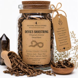 Könnte beinhalten: Ein klares Glasgefäß gefüllt mit braunen, getrockneten Devil's Shoestring-Wurzeln, verschlossen mit einem Korken. Das Etikett zeigt HEALING SOULS STUDIO, DEVIL'S SHOESTRING, 2 OZ | 56 G. Eine Holzschaufel und eine kleine Schale enthalten lose Wurzeln.