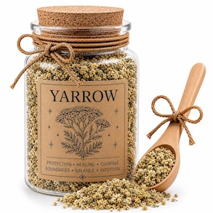 Pode incluir: Um frasco de vidro transparente cheio de flores de mil-folhas secas, rotulado com a palavra "YARROW" e palavras-chave relacionadas. Uma colher de madeira contém mais mil-folhas, amarrada com barbante. O frasco tem uma tampa de cortiça.