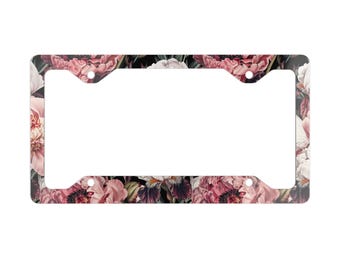 Marco de matrícula de metal