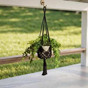 May include: A black macramé plant hanger holding a white ceramic pot filled with green leafy plants. The hanger is suspended from a hook. The plant cascades over the sides. The hanger has a tassel at the bottom.