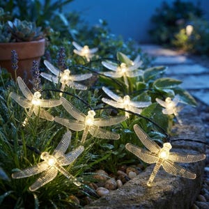 May include: A string of outdoor LED lights featuring translucent dragonfly-shaped covers. Each dragonfly has textured wings and a warm white light source in the center of its body. The lights are connected by a thin black wire and are positioned among green garden plants and stone edging.