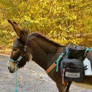 以下が含まれることがあります： ターコイズとオレンジ色のハルターとサドルバッグをつけた茶色のロバ。黒いサドルバッグには「Clyde」と書かれています。ロバのシルエットが入ったウォーターボトルがサドルバッグからぶら下がっています。背景は黄色い葉の森です。