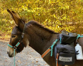 馬用トレイルパックのチュートリアル - ロバ、ミニ馬、ポニー用の軽量バックパックを自分で作る - 軽量パックサドルのビデオチュートリアル