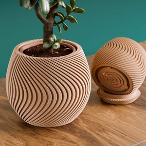 Könnte beinhalten: Ein hölzerner Blumentopf mit einem kleinen Baum und einem passenden kugelförmigen Objekt. Der Topf und die Kugel haben ein einzigartiges Design mit gebogenen, parallelen Linien. Der Topf ist mit Erde gefüllt und der Baum hat grüne Blätter.
