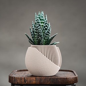 May include: A small succulent plant with green and white patterned leaves in a beige, modern, decorative planter. The planter has a unique design with vertical lines and angled sides, sitting on a wooden stool.