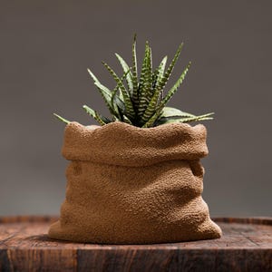 Op de afbeelding: Een bruine, getextureerde keramische plantenpot in de vorm van een zak, met een groen-witte vetplant. De pot staat op een houten oppervlak, tegen een neutrale grijze achtergrond. De plant heeft puntige bladeren met witte strepen.