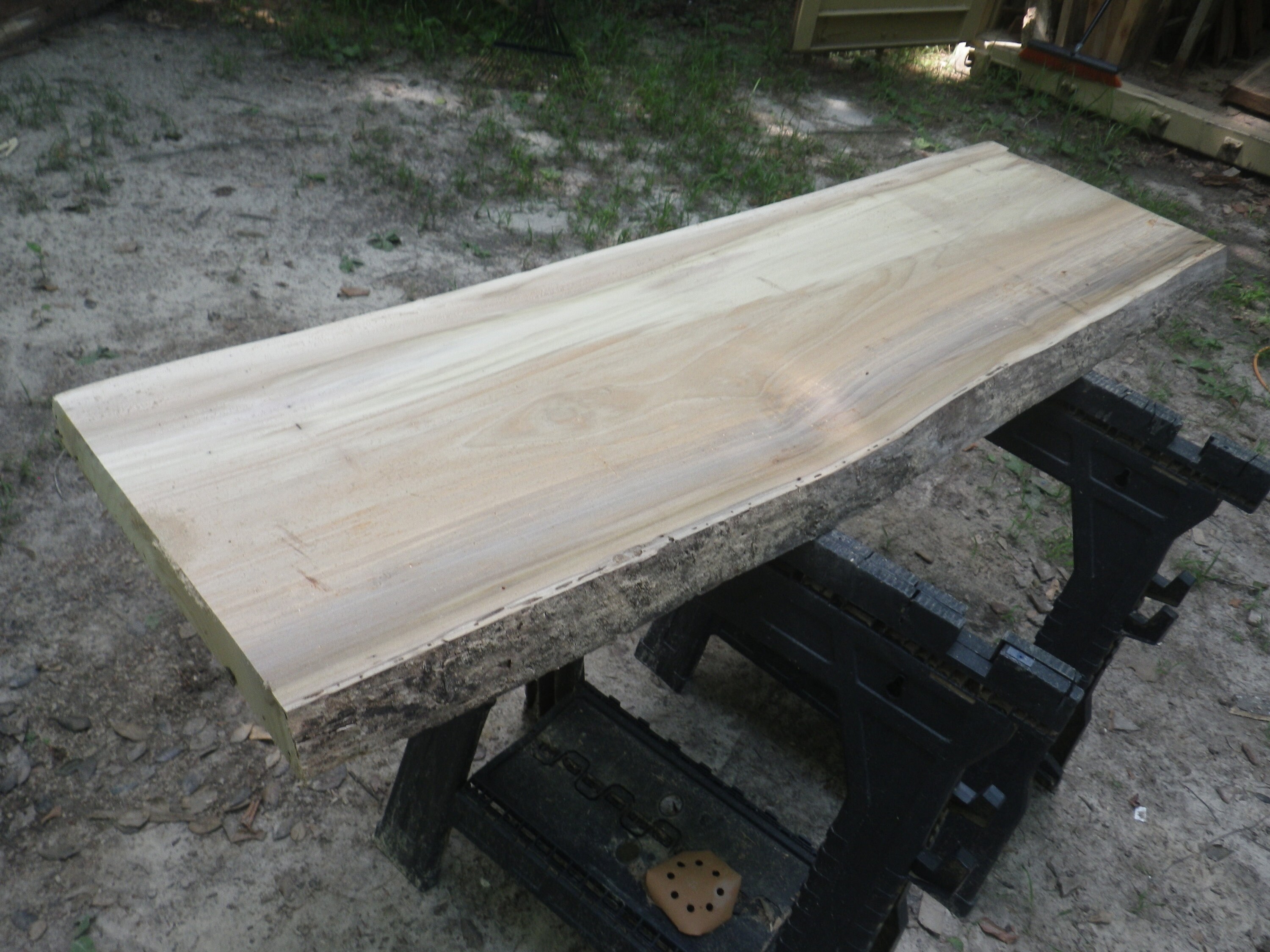 UNFINISHED Live Edge Spalted Poplar Wood Slab Live Edge Raw Etsy