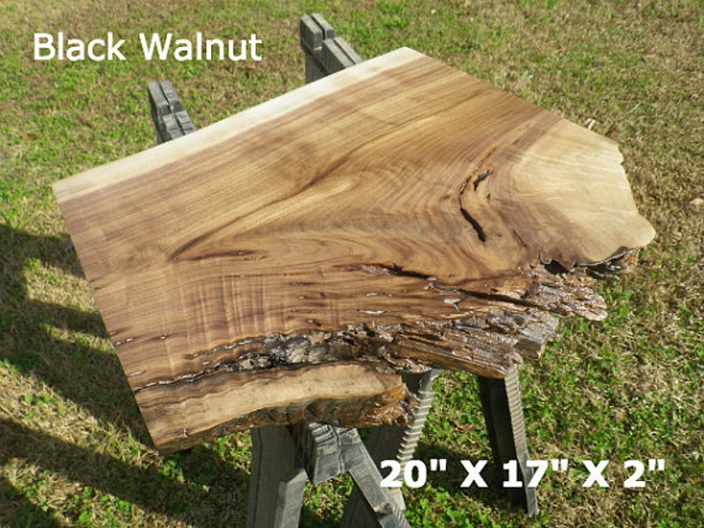 Live Edge Black Walnut Wood Slab Diy Finished Floating Shelf Etsy